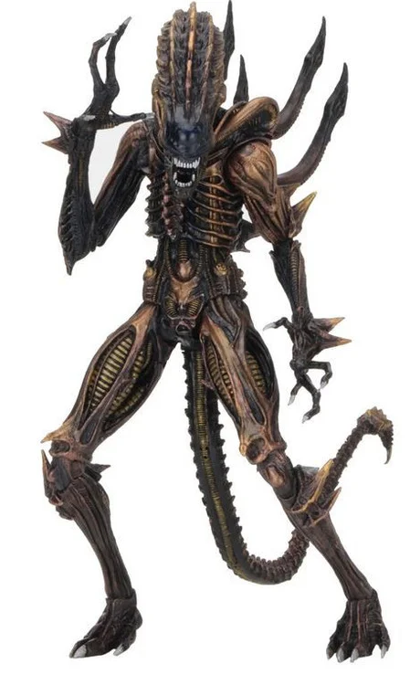 toywiz20260426163915953864